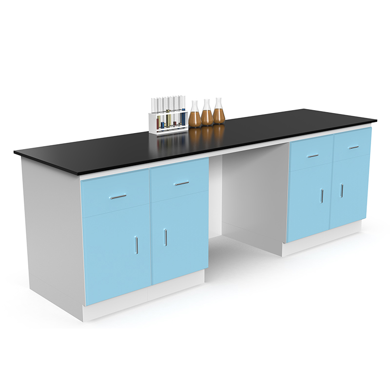 Lab furnitures Chemistry/Physical/Biologic lab work bench wi